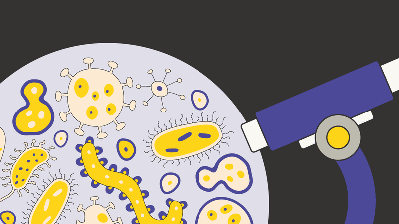 How Universities are Fostering Innovation in the UK