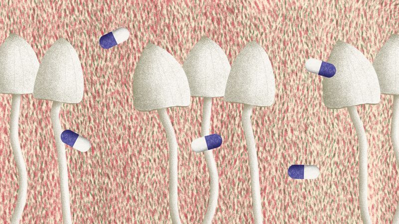 Startups Experimenting with Psychedelic Mental Health Treatments