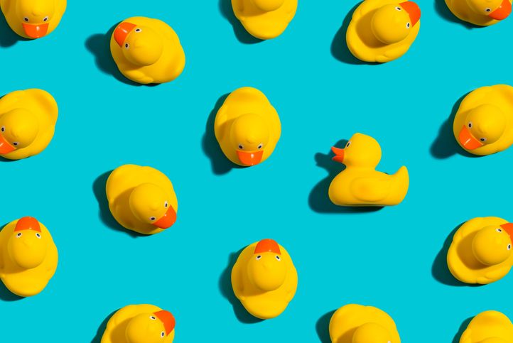 Venture Capital Investors: Who are they?