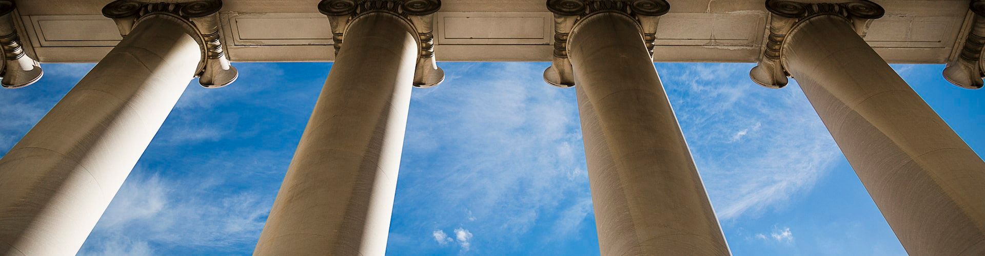 Custom Columns: UK Company Data, Any Way You Want It