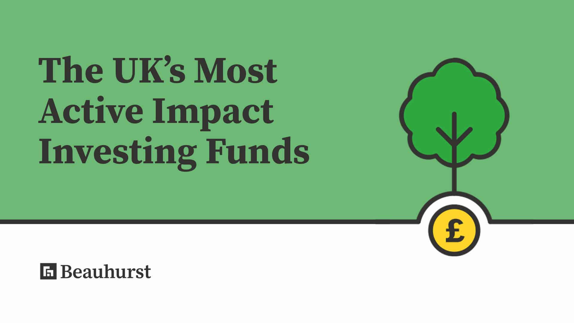 impact investing fund